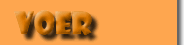 Voer